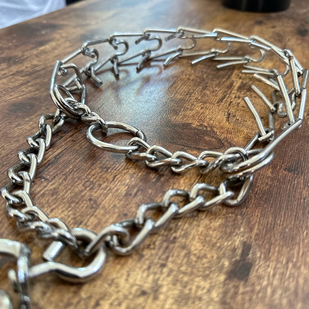 Puppy Dog Training Collar with Chunky Chain Design